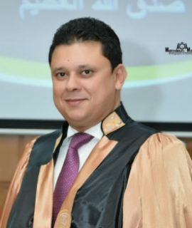 Ibrahim Sabry, Speaker at Climate Change Conferences