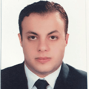 Hassan M Negm