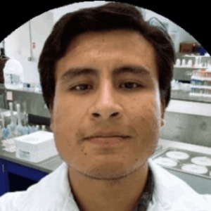 Javier Hernandez Alba, Speaker at Renewable Energy Conferences