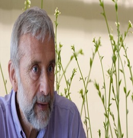 Speaker for plant science conferences - Pierre Chagvardieff