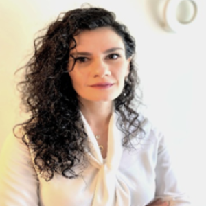 Speaker at Pharmaceutics and Novel Drug Delivery Systems 2022  - Florjana Rustemi