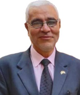 Abdelmonem Awad Hegazy, Speaker at Precision Medicine Conferences 2023