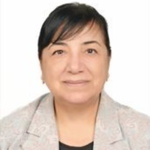 Terin Adali, Speaker at 